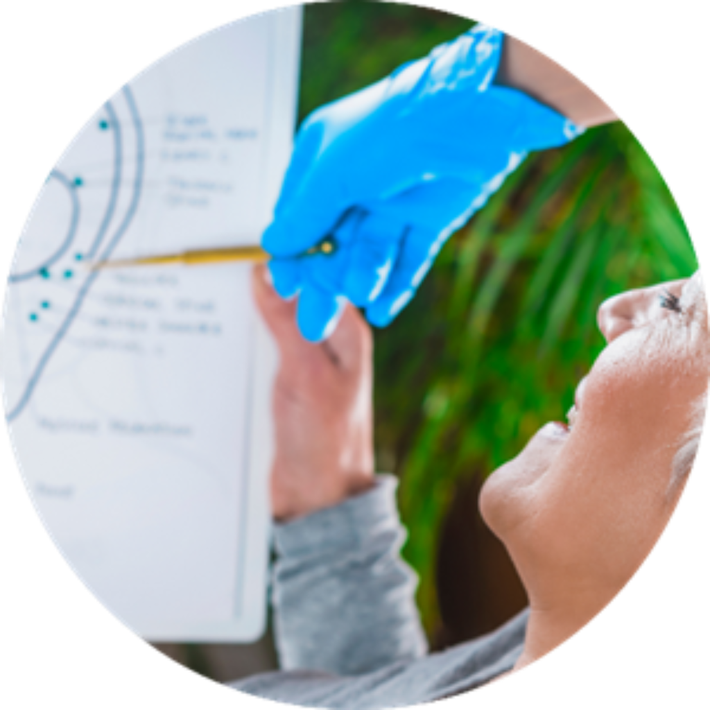 Curso De Auriculoterapia Avanzada
